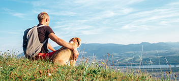 Scopri hotel e strutture